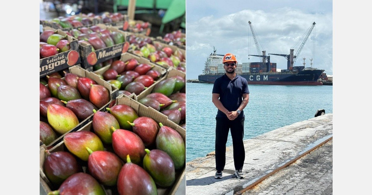 Brazilian exporters adjust shipments to help maintain mango prices in Europe