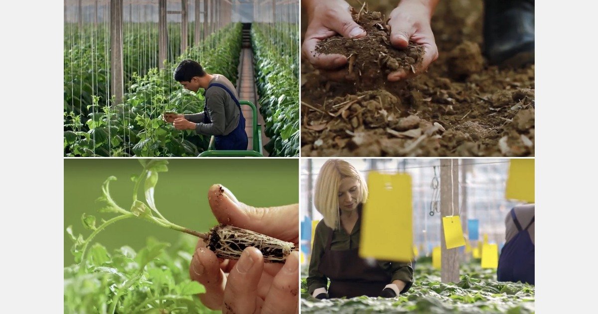 Rethinking “sustainable growing media” in greenhouse production