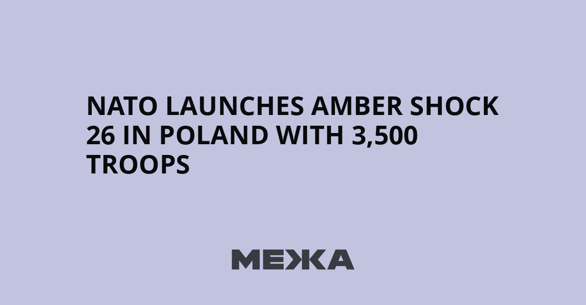 NATO launches Amber Shock 26 in Poland with 3,500 troops | Ukraine news