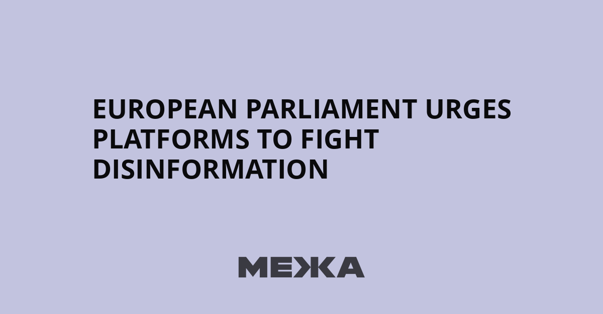 European Parliament urges platforms to fight disinformation | Ukraine news