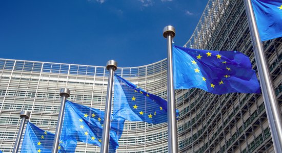 Image of several European Union flags.