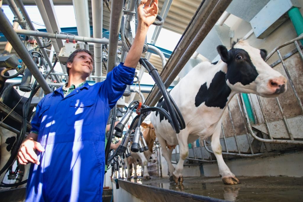 EU Rejects Formal Plan for Milk Output Cuts