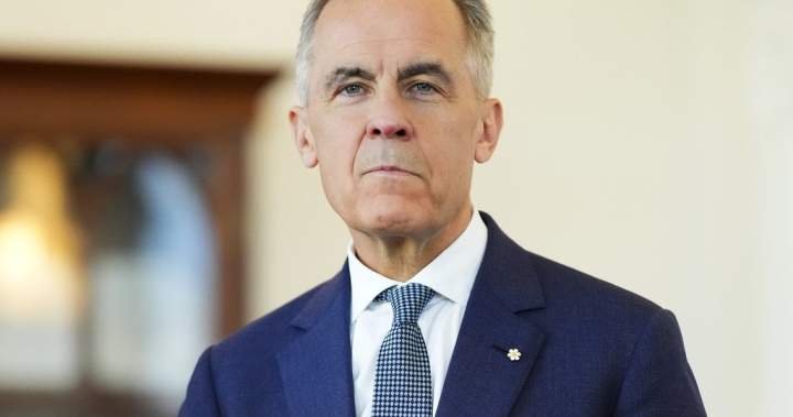 Prime Minister Carney's Armenia Visit Focuses on Ukraine's Defense and Trade Relations