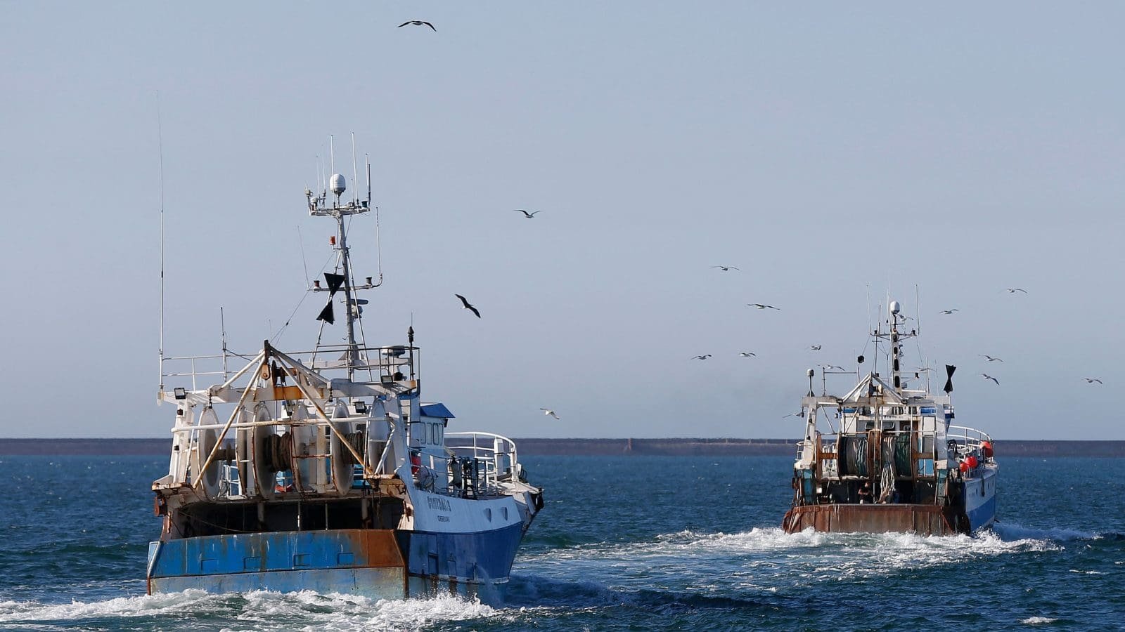 EU report says fish stock recovery remains slow despite sustainability gains | Food Business Middle East & Africa