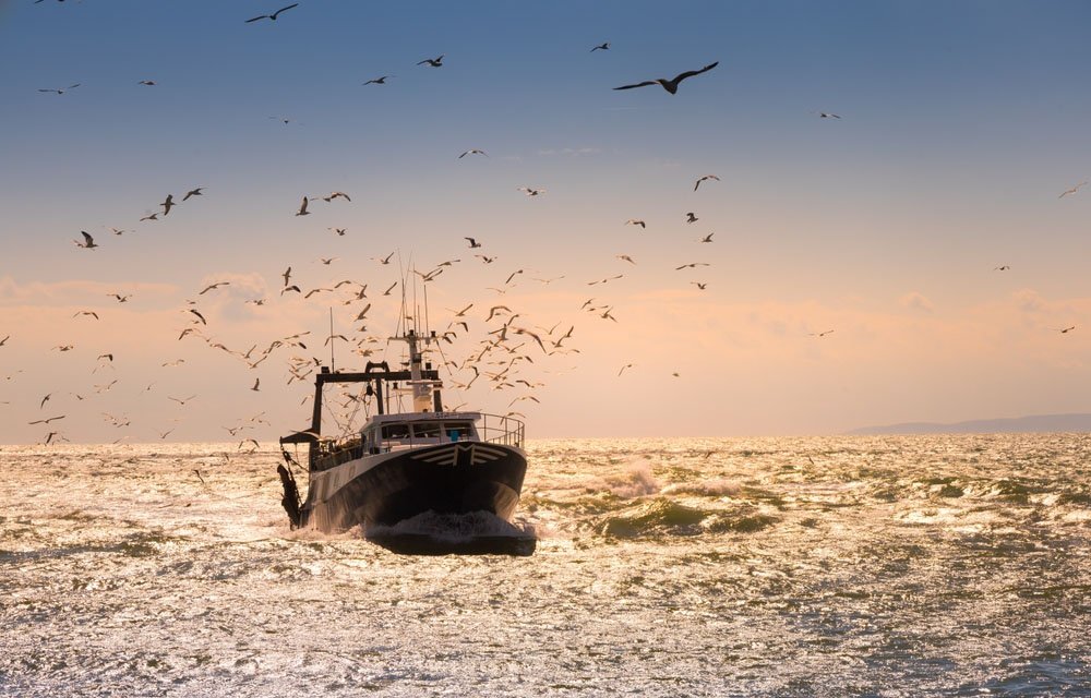 European Commission’s review of a decade under the Common Fisheries Policy shows mixed results