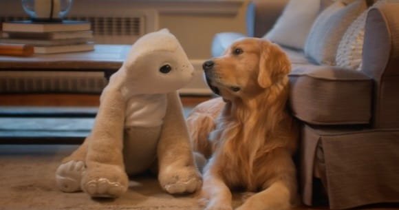 Roomba creator unveils furry AI robot built for companionship