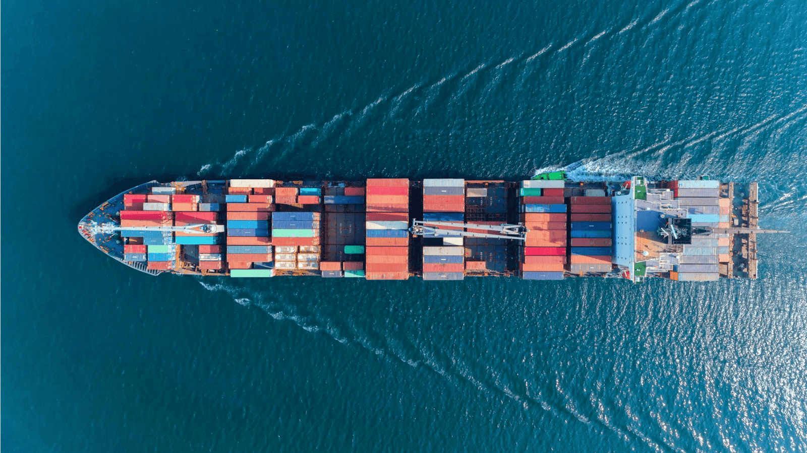 Nabu raises €3M to scale digital customs in Europe