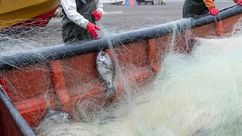 Commission Review Finds Slow Progress in EU Fisheries Sustainability