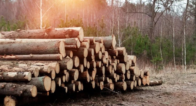 Galan Lithium Shareholders Back Capital-Raising Resolutions at General Meeting