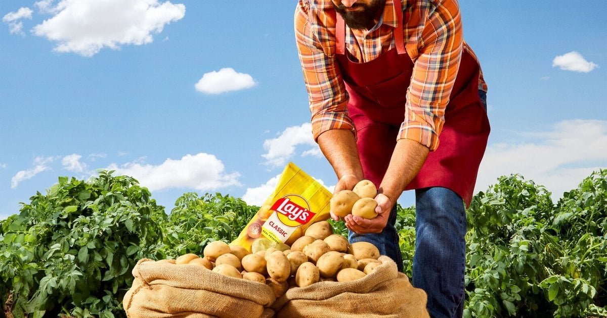 PepsiCo: Sustainable Fertilisers for Potato & Corn Farming