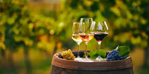 Mercosur-EU deal reshapes wine market and benefits high-end imports