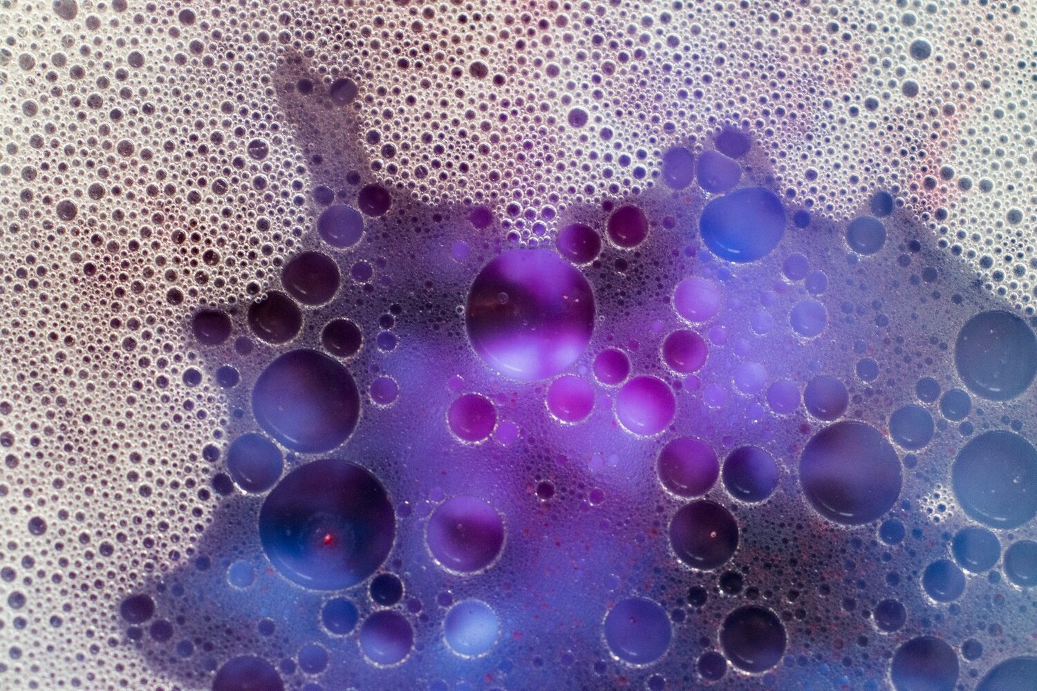 AmphiStar Raises $13.5M to Scale Bio-Based Surfactants