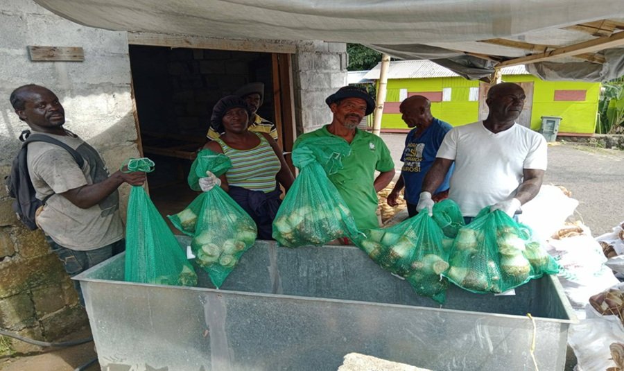 Studying Bio Based Pesticides for Post Harvest in St Vincent