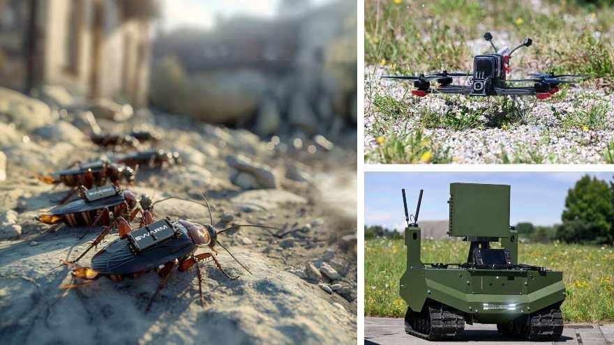 Spy cockroaches and AI robots: Germany plots the future of warfare