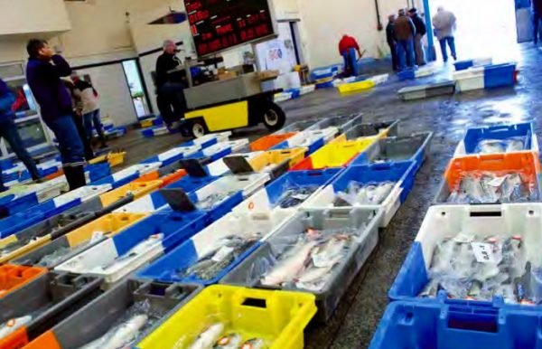 The EU fishing sector denounces lack of transparency and expertise in developing EU taxonomy standards for fishing proposed in new Bill EAPO EU Code Conduct