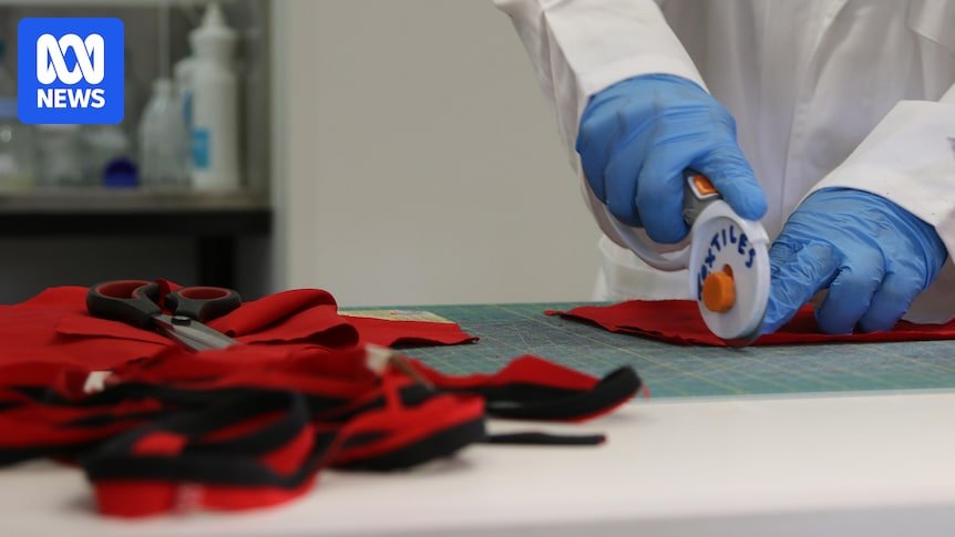 New process turns wheat straw and oat husks into sustainable clothing