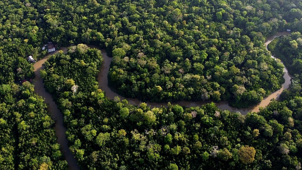 Eighteen EU countries call for 'simplification' of EU Deforestation Law