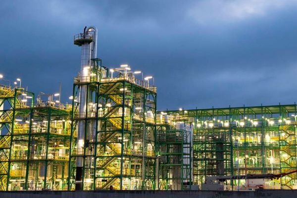A flagship European project aiming to transform Italian marginal lands into more sustainable sources of bio-based raw materials