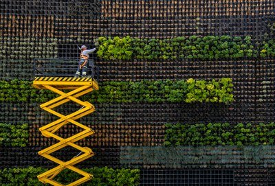 EEA calls for biomass innovation to strengthen Europe’s bioeconomy