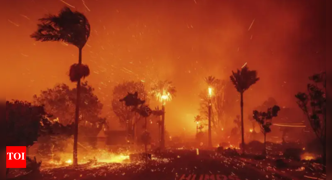 Fire in southern France burns 11,000 hectares, injures nine