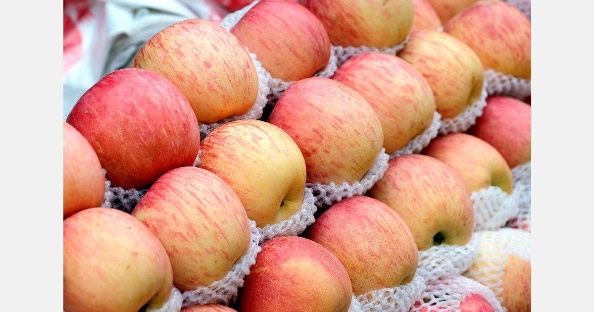 EU apple production holds steady, pear output grows slightly