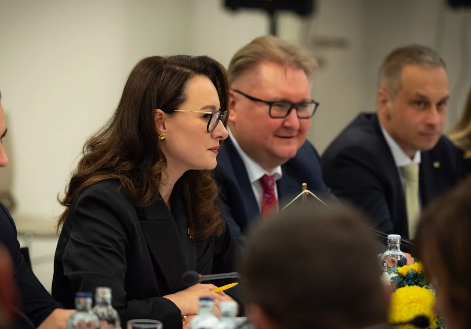 Taras Kachka held his first conversation in his new position: Ukraine and Sweden agreed on steps towards the EU