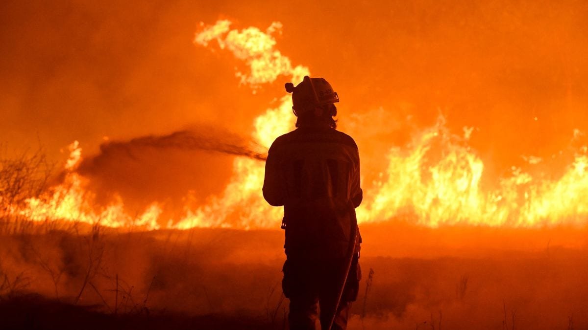 Southern Europe burning, nearly all of Spain at risk of wildfires – Firstpost