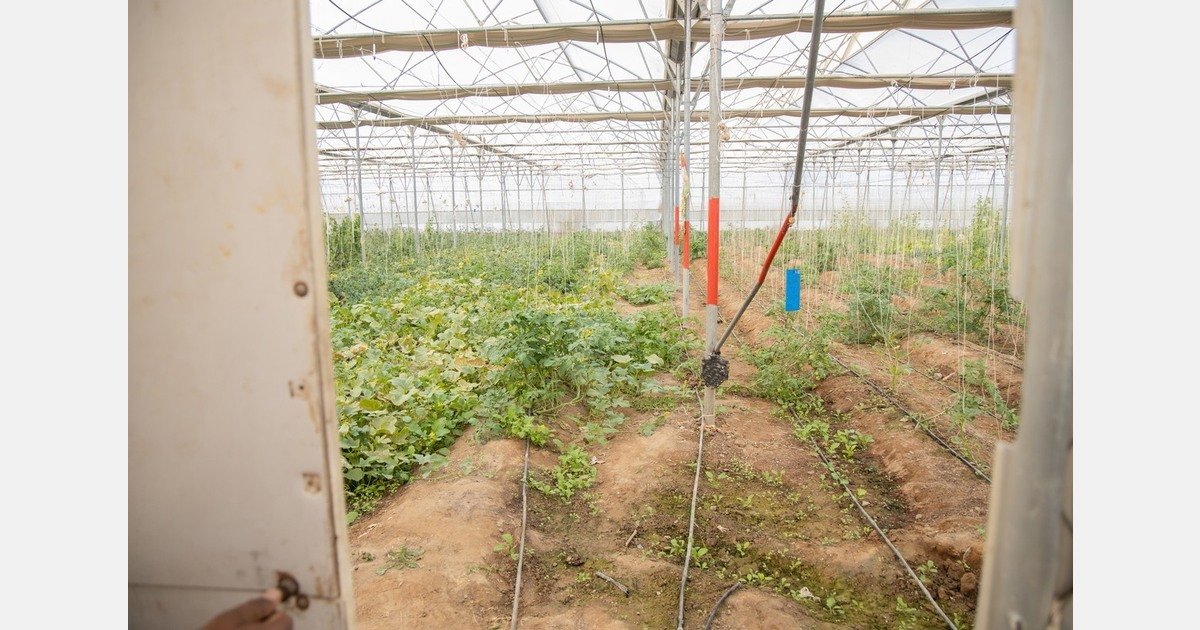 Oman seeks to localize agro-food industry