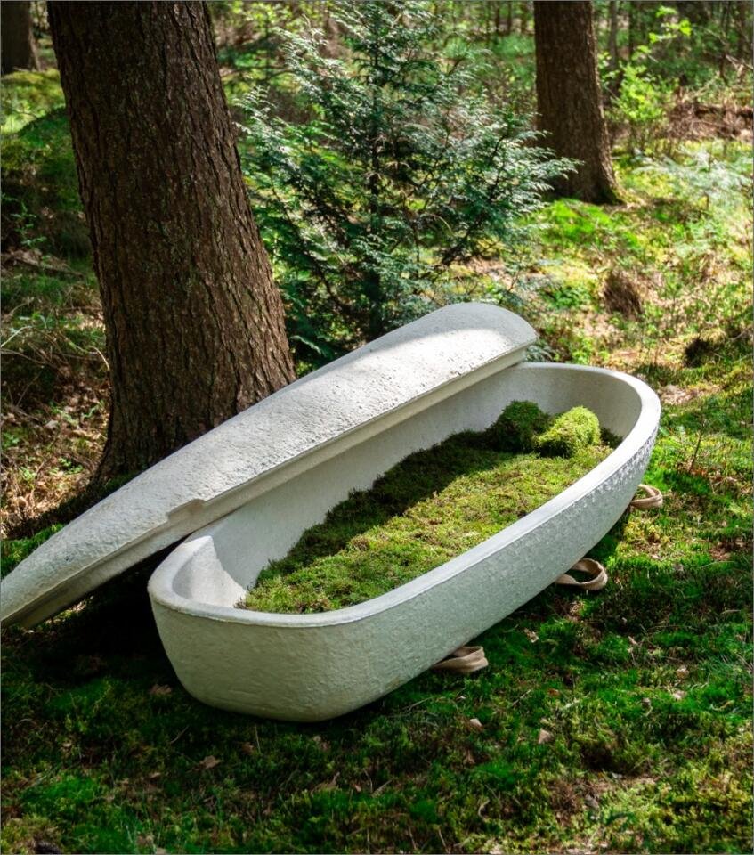 Dutch Startup Grows Coffins From Mushrooms in Seven Days