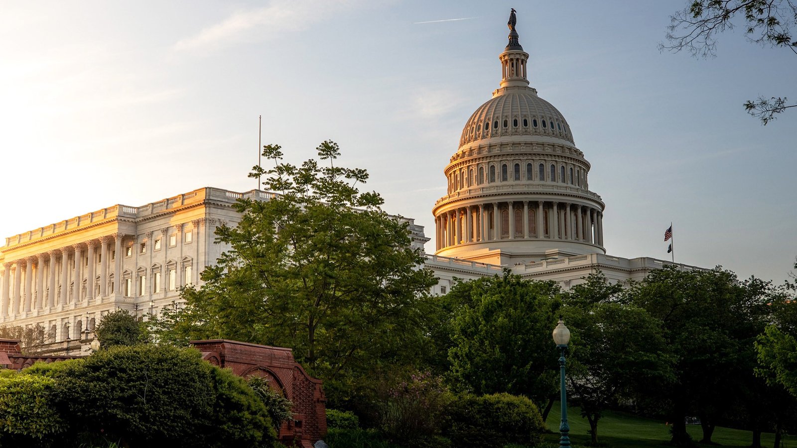 SBIR, STTR grants over the years