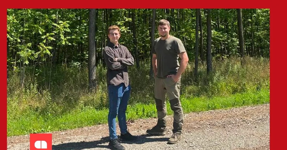 Lignufy secures €40,000 investment to digitize timber trade in Europe