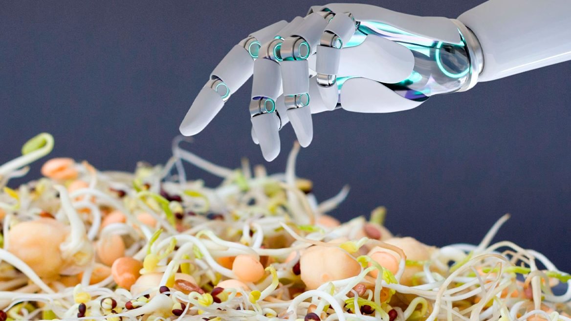 “Without light, without people, with minimal water use”. How Ukrainian-founded startup Sprout Dynamics is creating AI-powered robotic mini-factories for dynamic grain germination