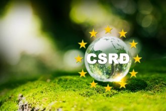 Global | Environment Analyst Global