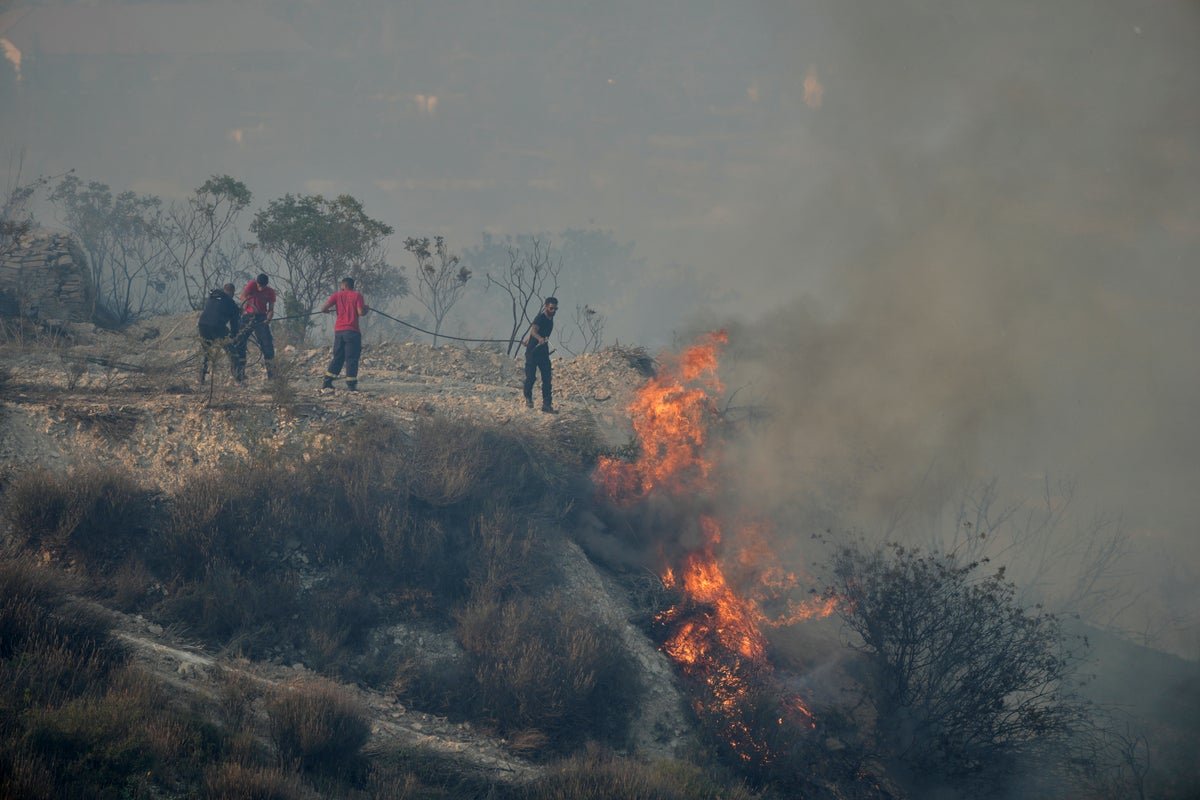 Europe experienced its worst wildfire season on record this year