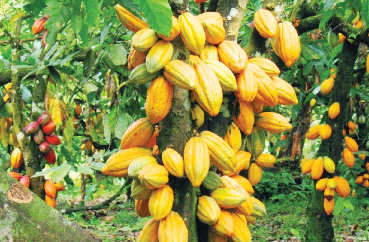 Plateau State