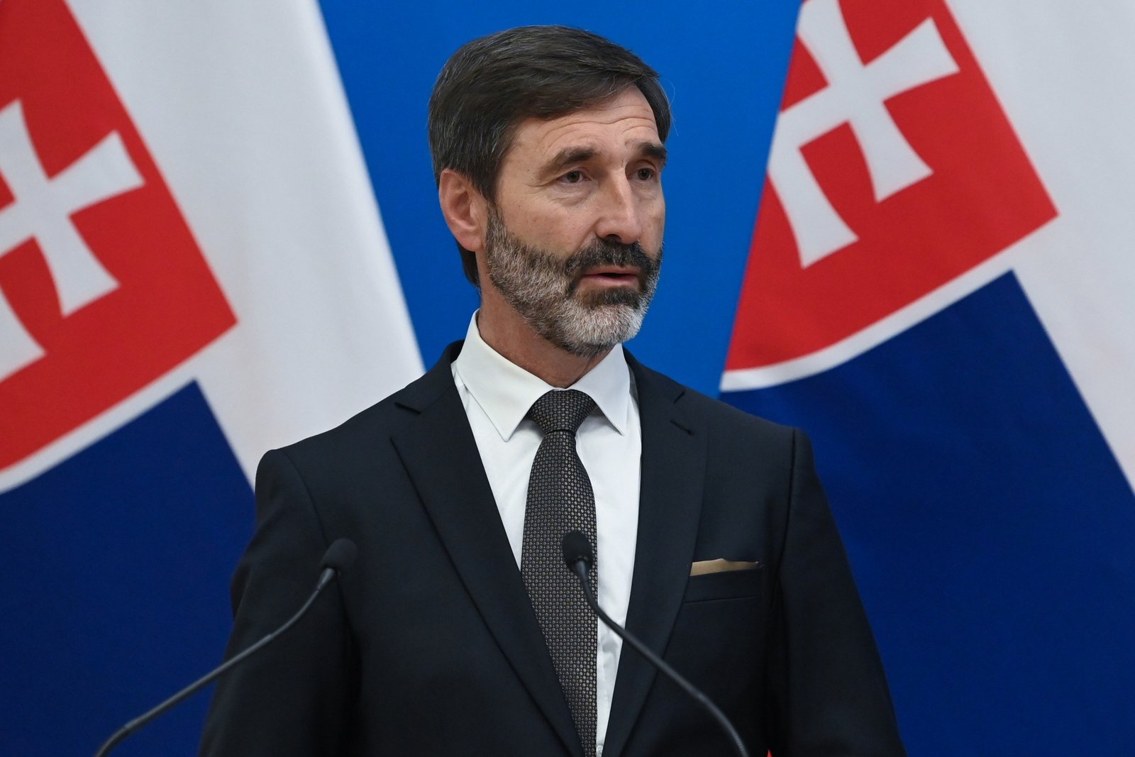 Slovakia and Hungary Urge EU Action After Druzhba Pipeline Attacks