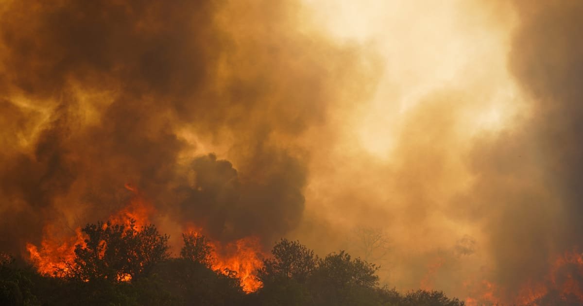 Confused politics fans the flames of southern Europe’s wildfires – POLITICO