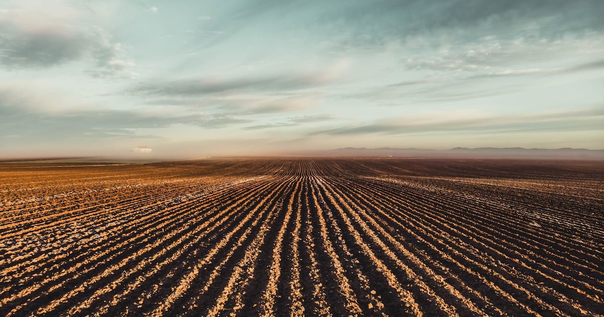 Ambienta’s Agronova deal bears out biosolutions boom as climate pressures threaten Europe’s crop yields