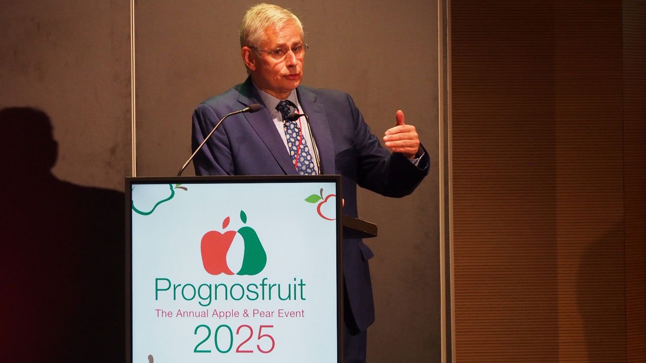 Prognosfruit 2025: EU Apple Production Holds Steady, Pear Output Grows Slightly Amid Market Uncertainty and Policy Challenges