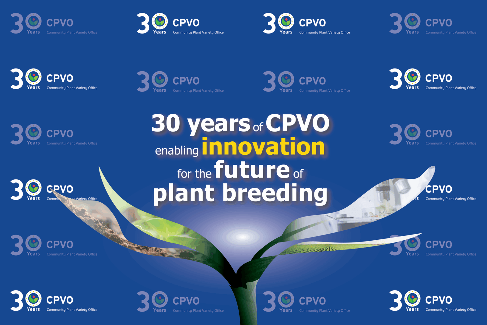 30 Years of Safeguarding Innovation in a Changing World