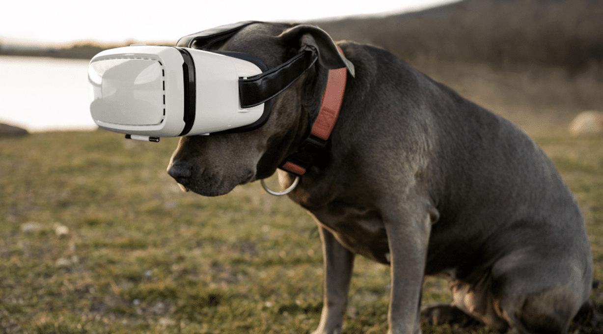 Pet-tech