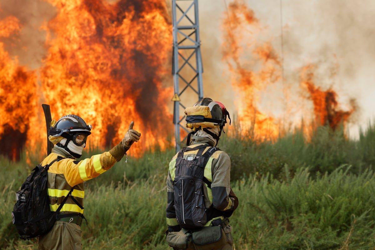 Four dead as Spain hit by worst wildfires on record in 45C heatwave: Mapped