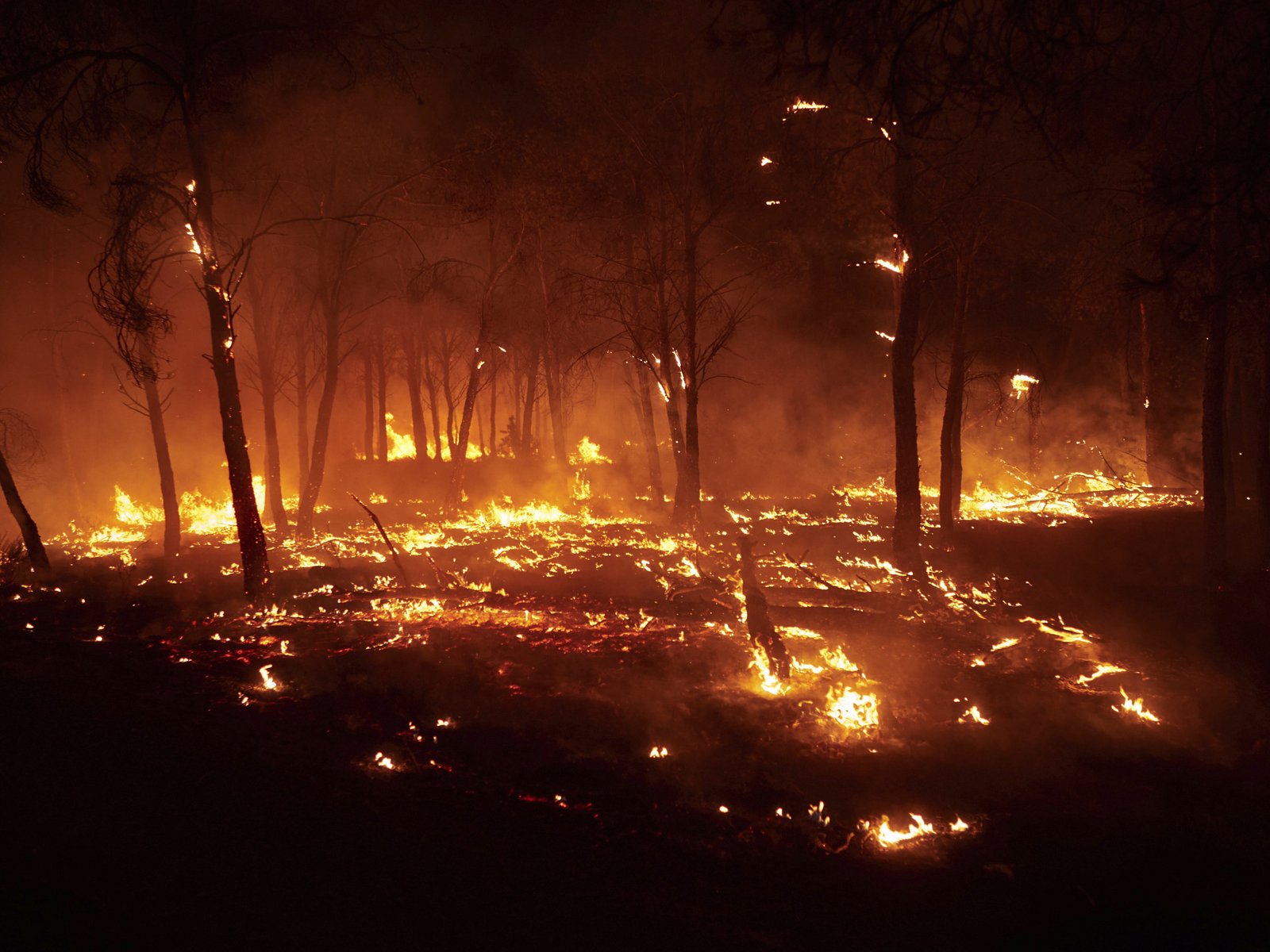 Europe Fires