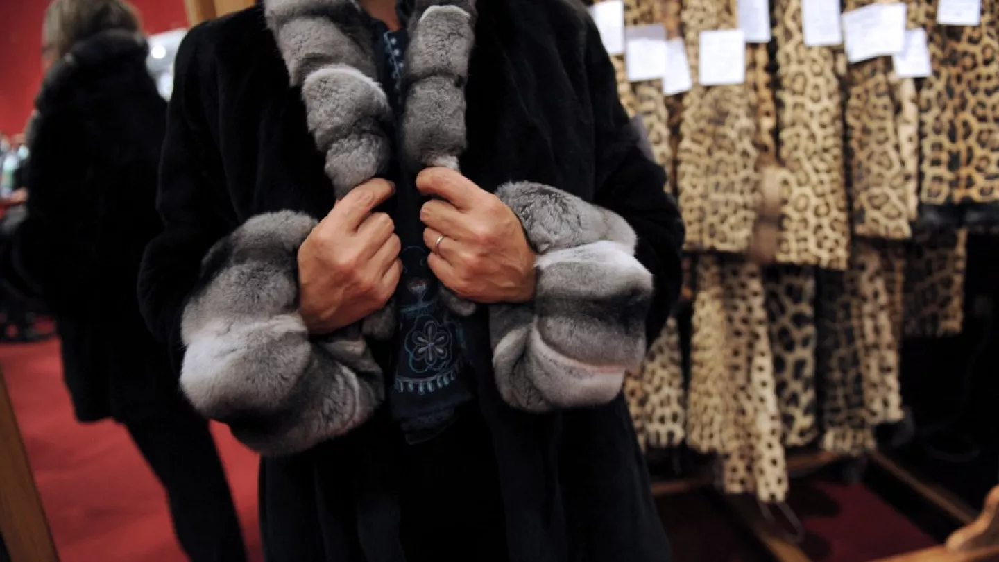 Europe is moving towards the end of fur farms: the environmental and social impact of a declining industry