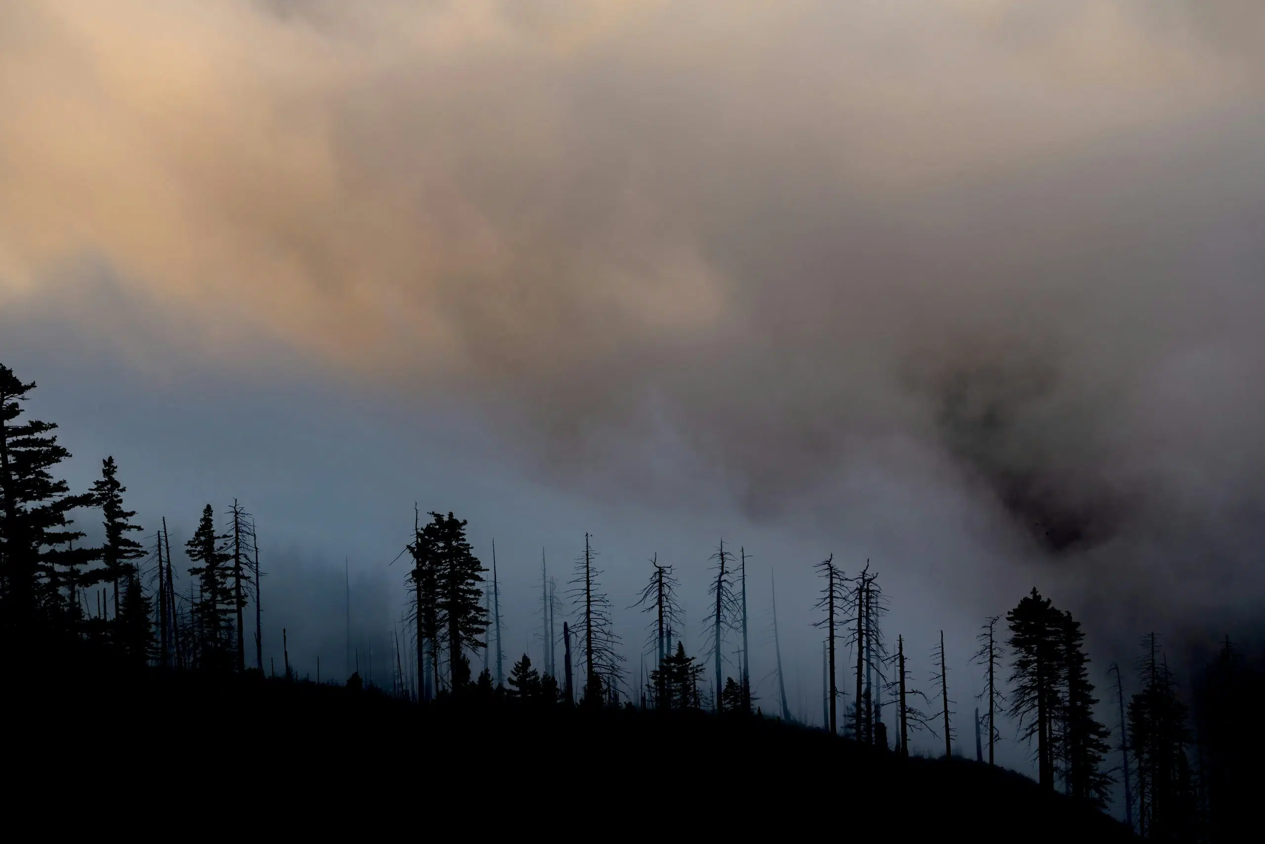 United States: a study claims that smoke from wildfires increases ozone pollution