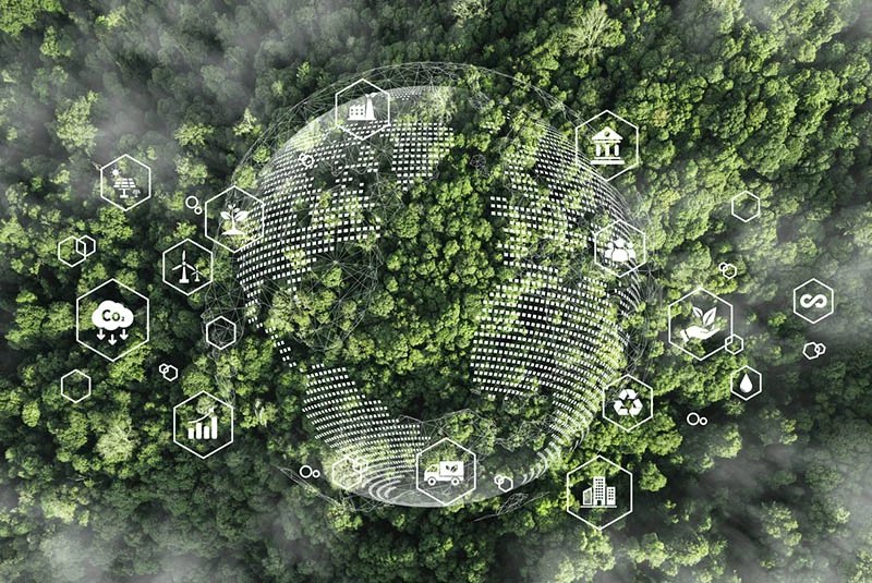 Transforming Business Education Through Sustainability and Innovation