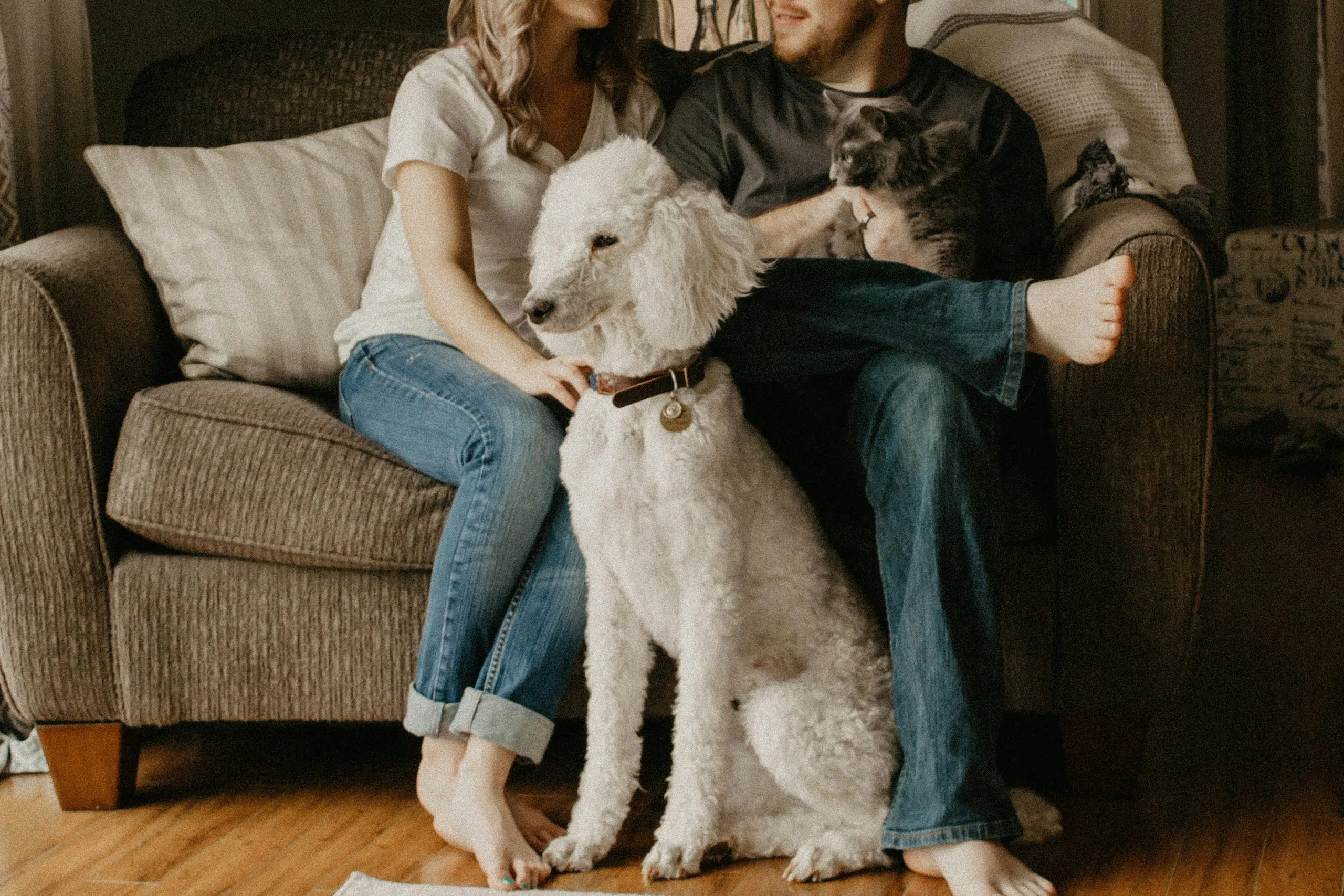Multi-species families, a change that is here to stay: when pets become just another family member.