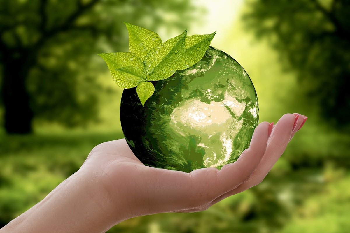 LDC Group sets out its latest environmental strategy