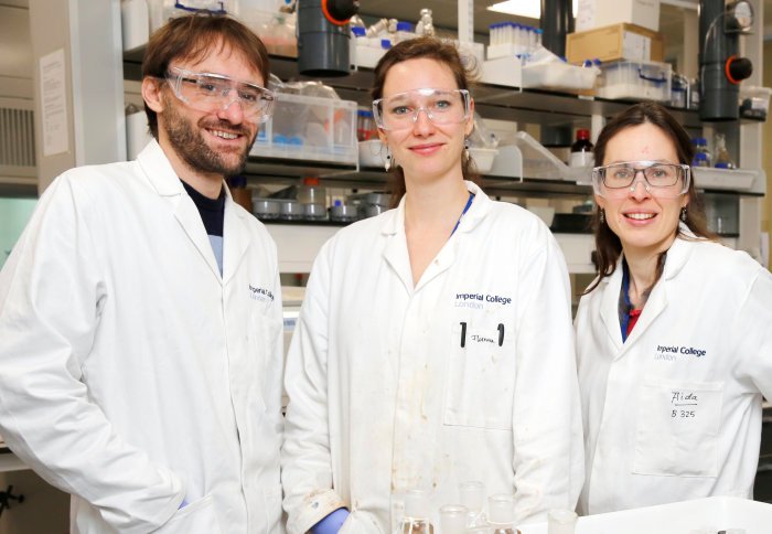 Chrysalix team