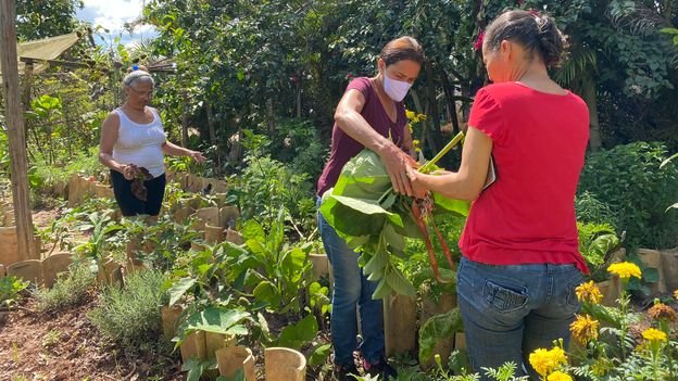 Why a Brazilian favela facing eviction decided to go green